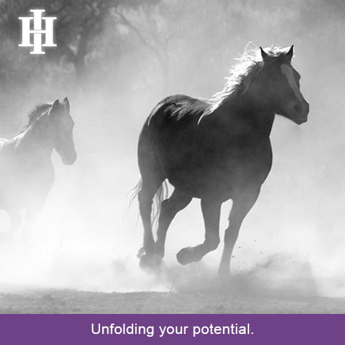 hermeticism course universal political freedom hermeticism course universal political freedom