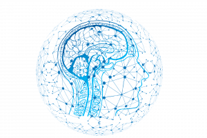 Hermetic Brain Science Hermetic Brain Science