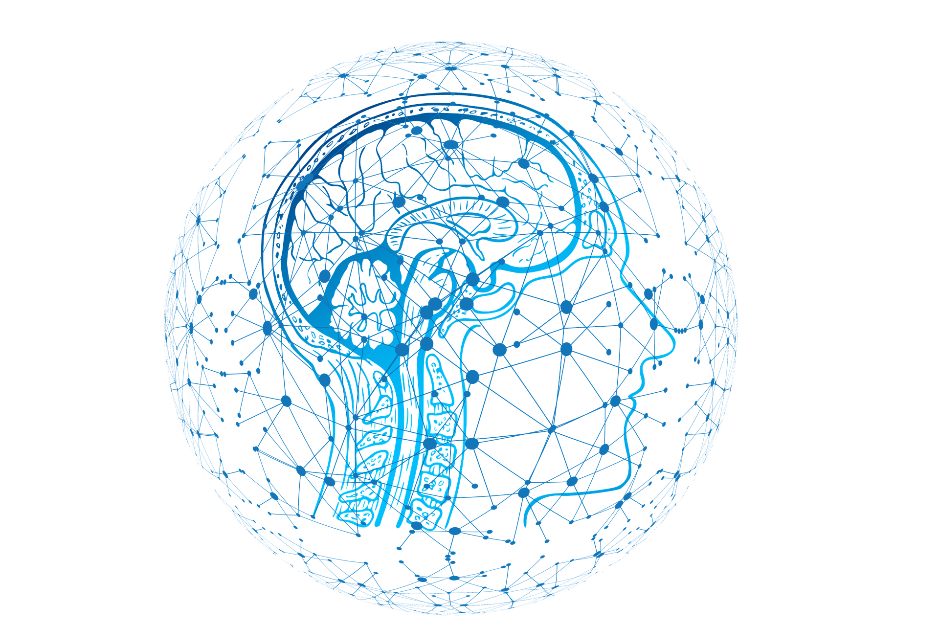 Hermetic Brain Science Hermetic Brain Science